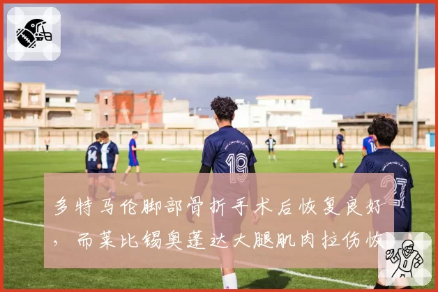多特马伦脚部骨折手术后恢复良好，而莱比锡奥蓬达大腿肌肉拉伤恢复未达预期，德甲前锋伤病恢复速度对比